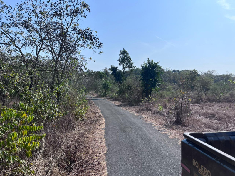  291000 Sq. Meter Residential Plot for Sale in Sanguem, South Goa