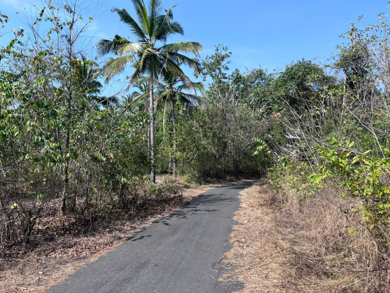  291000 Sq. Meter Residential Plot for Sale in Sanguem, South Goa