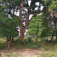  Residential Plot for Sale in Nirsa, Dhanbad