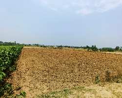  Agricultural Land for Sale in Khairabad, Sitapur