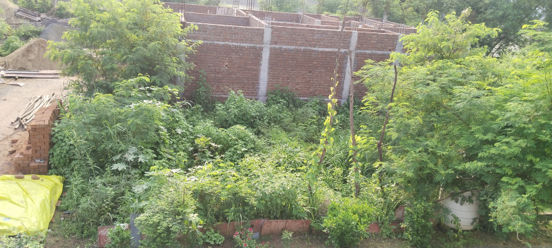  Residential Plot 2200 Sq.ft. for Sale in Amleshwar, Raipur