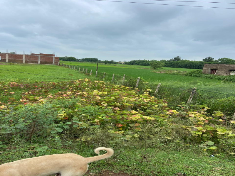  Residential Plot 9000 Sq.ft. for Sale in Bhatagaon, Raipur