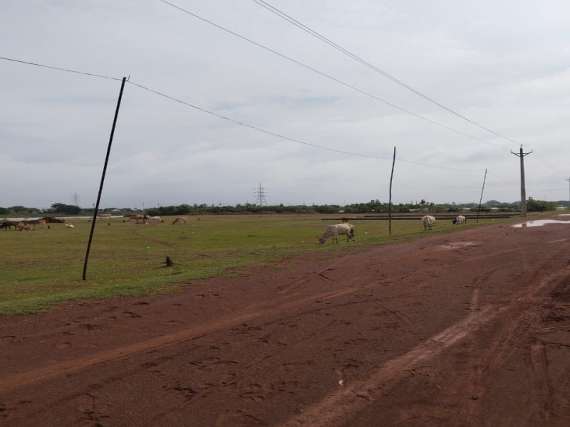  24080 Sq.ft. Agricultural/Farm Land for Sale in Mohan Nagar, Durg