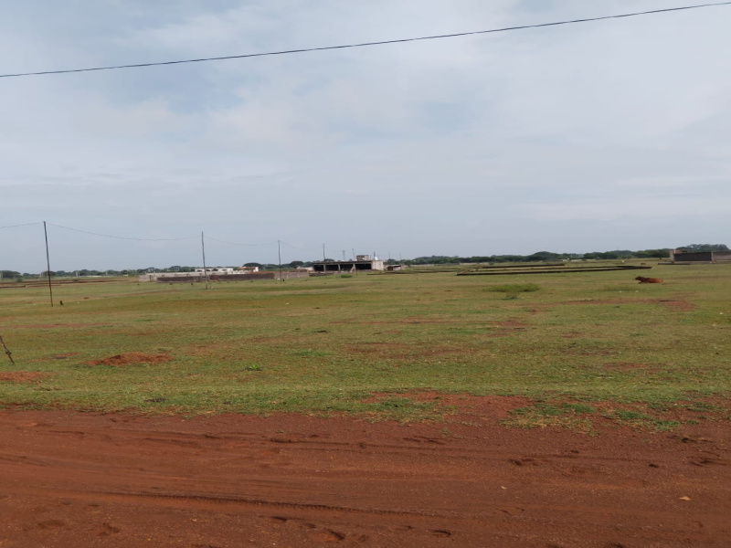  24080 Sq.ft. Agricultural/Farm Land for Sale in Mohan Nagar, Durg