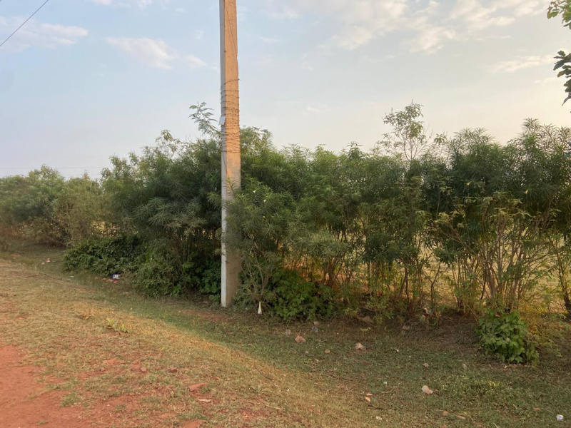  6400 Sq.ft. Commercial Land for Sale in Amleshwar, Durg