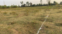  Residential Plot for Sale in Amleshwar, Durg