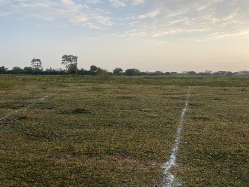  3280 Sq.ft. Residential Plot for Sale in Amleshwar, Durg