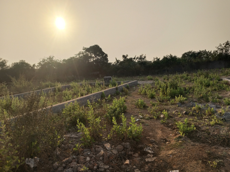  1665 Sq.ft. Residential Plot for Sale in Wallfort City, Raipur