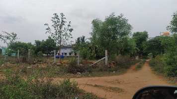  Residential Plot for Sale in Morappur, Dharmapuri