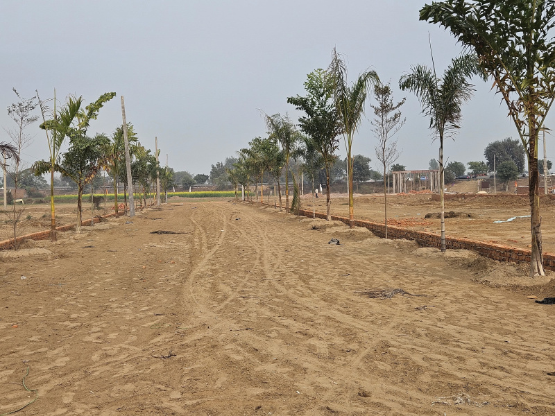  Residential Plot 200 Sq. Yards for Sale in Knowledge Park 2, Greater Noida