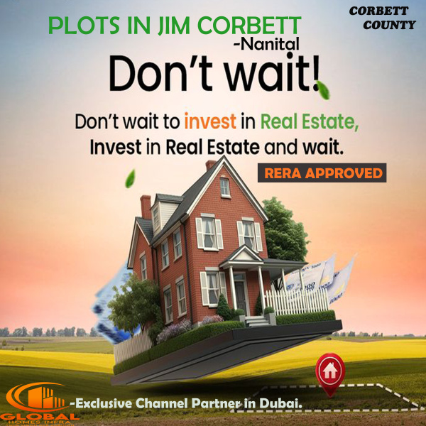  Residential Plot 110 Sq. Yards for Sale in Tallital, Nainital