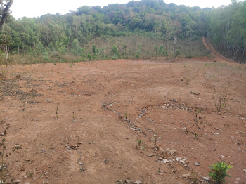  Agricultural Land for Sale in Sirsi, Uttara Kannada