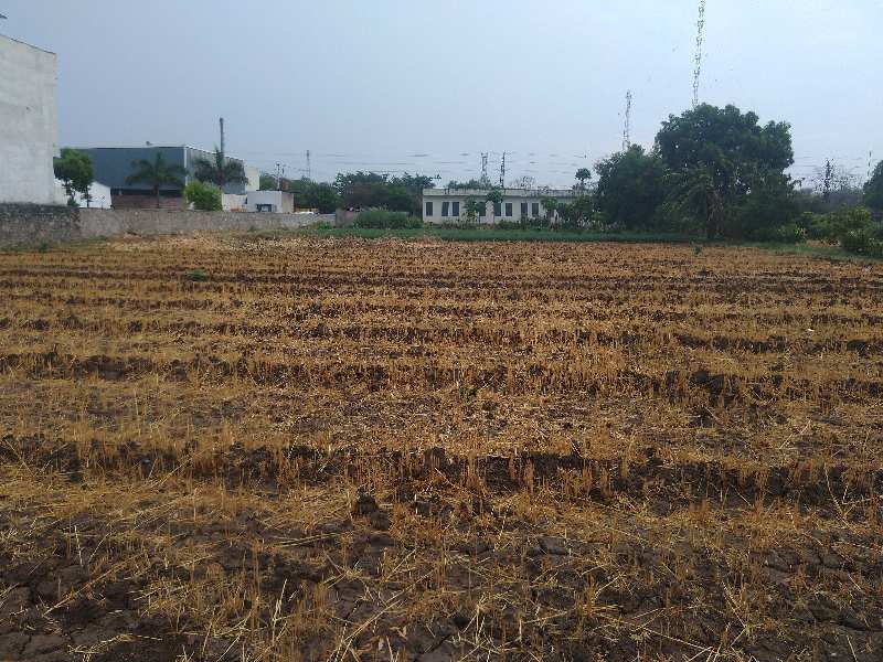 Agricultural Land 20000 Sq.ft. for Rent in Madri, Udaipur