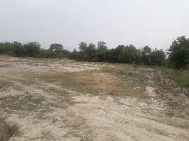  Agricultural Land for Sale in Bilhaur, Kanpur
