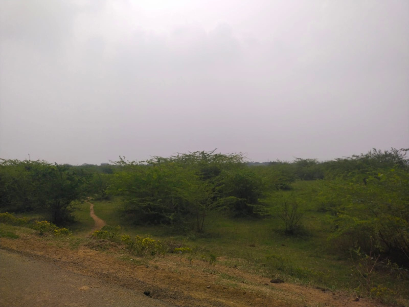  Residential Plot 670 Sq.ft. for Sale in Kolathur, Chennai