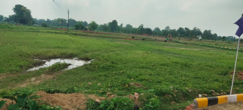  Agricultural Land for Sale in Chandur, Amravati