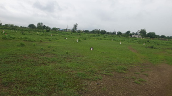  Agricultural Land for Sale in Dhamangaon, Amravati