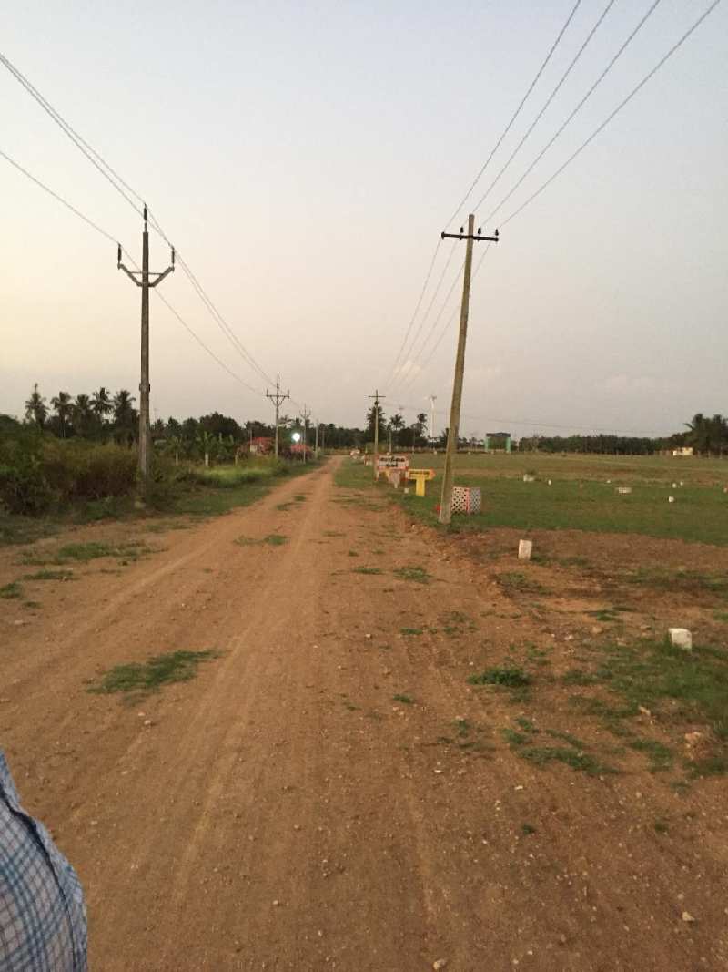  Residential Plot 1300 Sq.ft. for Sale in Sultanpet, Coimbatore