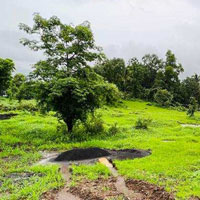  Agricultural Land for Sale in Karjat, Mumbai