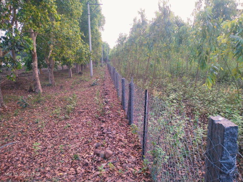  Residential Plot 24 Cent for Sale in Narsipatnam, Visakhapatnam