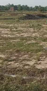  Residential Plot for Sale in Faizabad Road, Lucknow