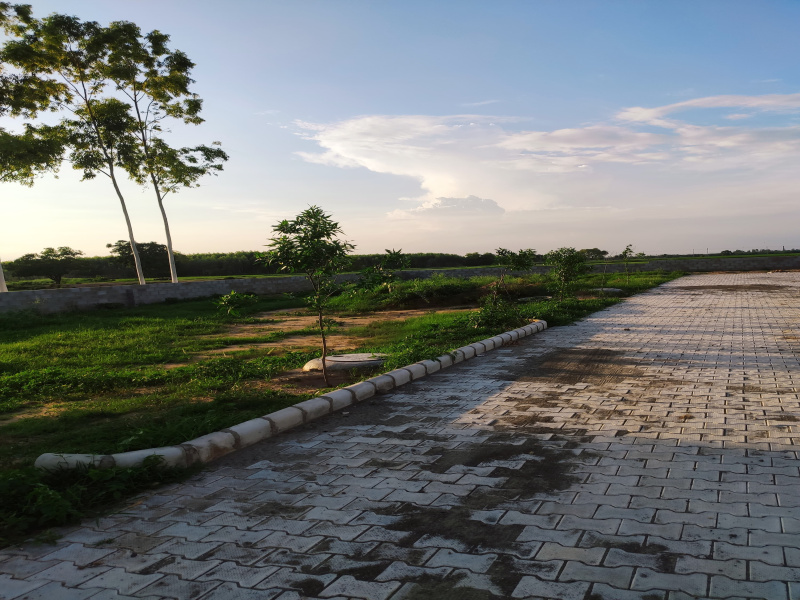  Residential Plot 100 Sq. Yards for Sale in Lalru, Mohali