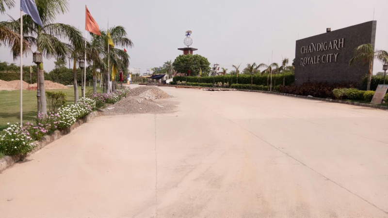  Residential Plot 100 Sq. Yards for Sale in Patiala Road, Zirakpur