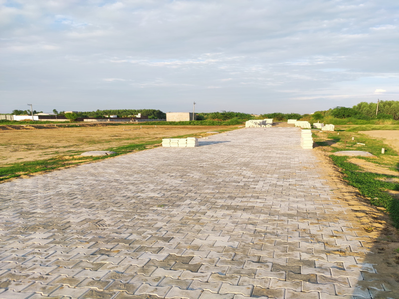 Residential Plot 990 Sq.ft. for Sale in Lalru, Mohali