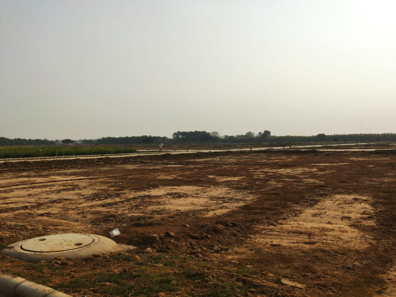  Commercial Land 300 Sq.ft. for Sale in Lalru, Mohali