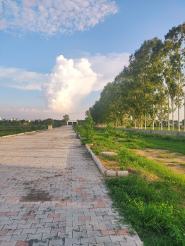  Commercial Land for Sale in Lalru, Mohali
