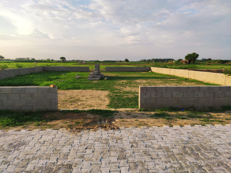  Commercial Land 300 Sq.ft. for Sale in Lalru, Mohali
