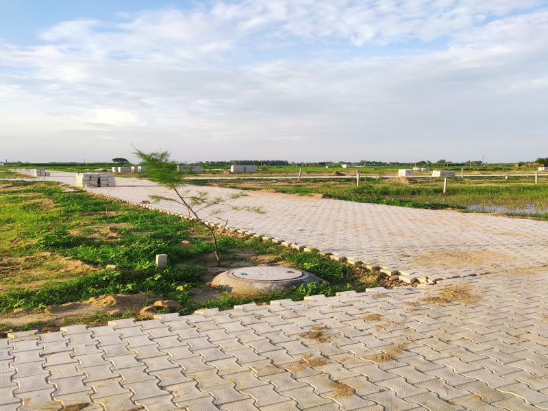  Commercial Land 300 Sq.ft. for Sale in Lalru, Mohali