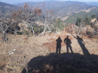  Agricultural Land for Sale in Ranikhet, Almora