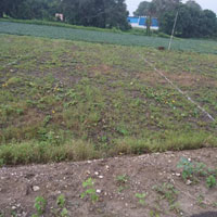  Commercial Land for Sale in Rau, Indore