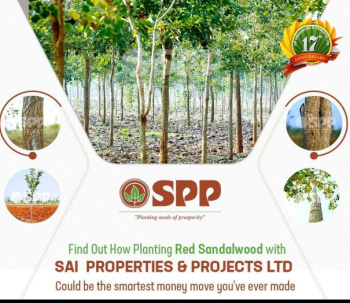  Agricultural Land for Sale in Madanapalle, Chittoor