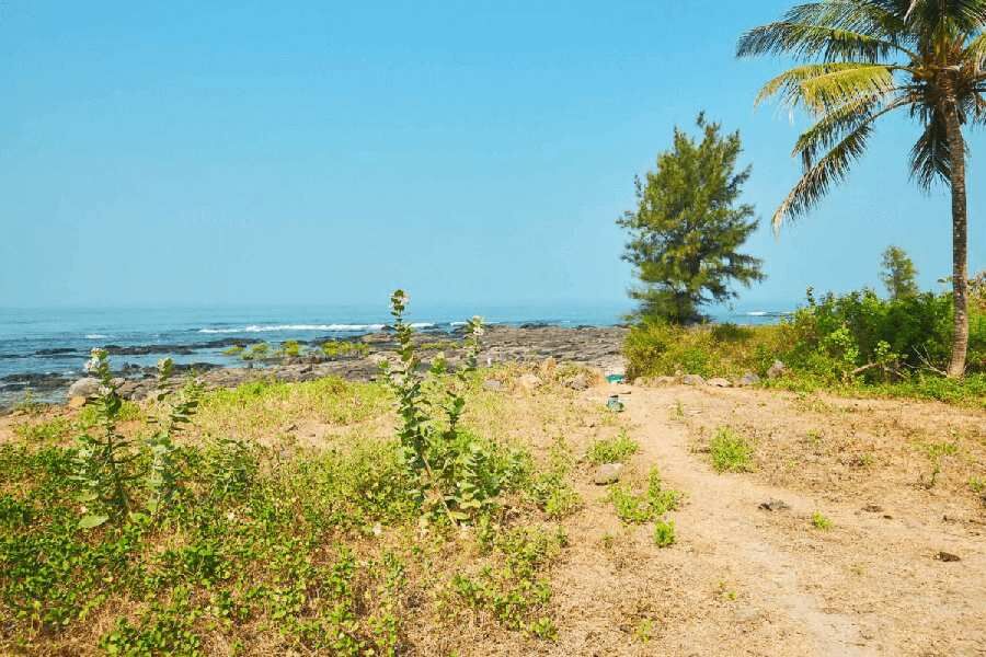  Residential Plot 3229 Sq.ft. for Sale in Revdanda, Alibag, Raigad