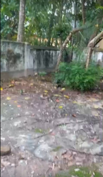  Residential Plot for Sale in Bangaon, North 24 Parganas