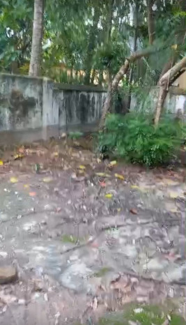  Residential Plot 7 Katha for Sale in Gopalnagar, North 24 Parganas