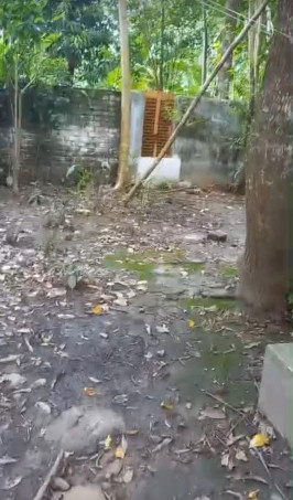  Residential Plot 7 Katha for Sale in Gopalnagar, North 24 Parganas