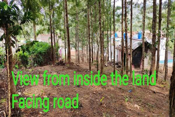  Residential Plot 70 Cent for Sale in Yercaud, Salem