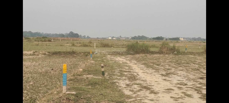  Residential Plot 3600 Sq.ft. for Sale in Delhi More, Darbhanga