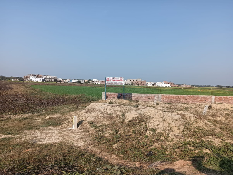  Residential Plot 1901 Sq.ft. for Sale in Mabbi Belauna, Darbhanga