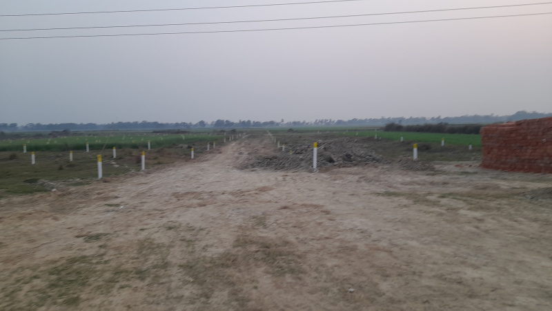  Residential Plot 1901 Sq.ft. for Sale in Mabbi Belauna, Darbhanga