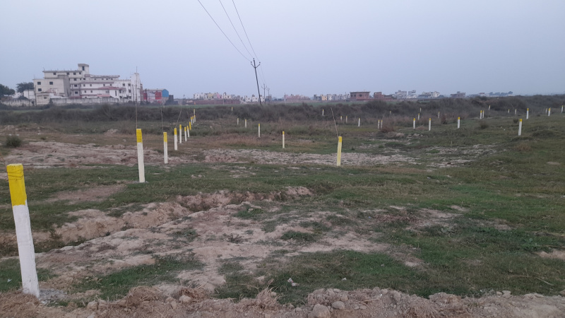  Residential Plot 1901 Sq.ft. for Sale in Mabbi Belauna, Darbhanga