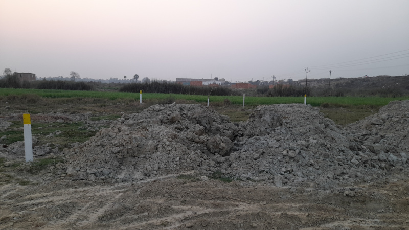  Residential Plot 3600 Sq.ft. for Sale in Mabbi Belauna, Darbhanga