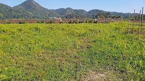  Commercial Land 8640 Sq.ft. for Sale in Kala Pahar, Guwahati