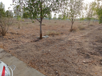  Residential Plot for Sale in Sidhpur, Patan