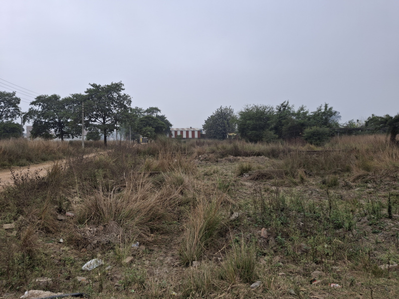  Residential Plot 5200 Sq.ft. for Sale in Deva Road, Lucknow