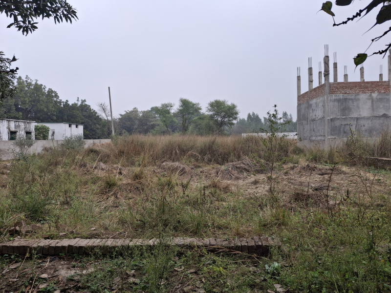  Residential Plot 5200 Sq.ft. for Sale in Deva Road, Lucknow