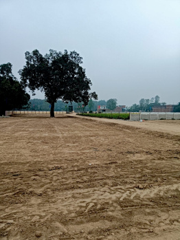 Residential Plot for Sale in Gosainganj, Lucknow